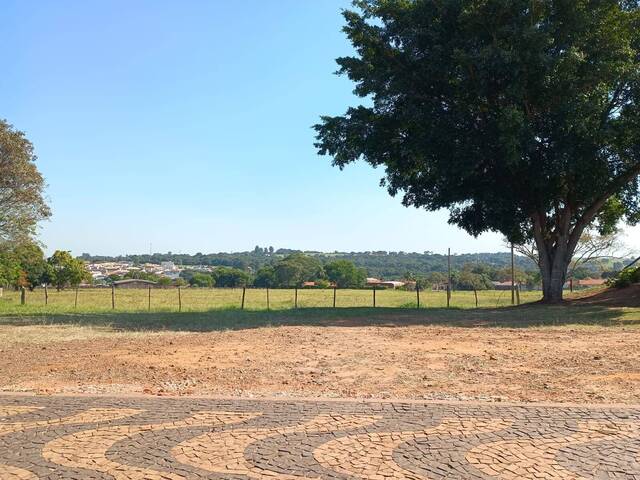 #63 - Terreno para Venda em Araras - SP - 1