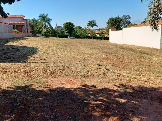#81 - Terreno para Venda em Brotas - SP - 1