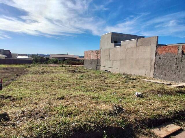 Venda em Santa Amelia - Brotas