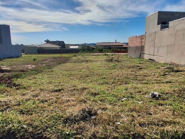 Terreno para Venda em Brotas - 2