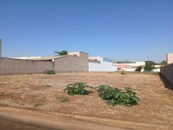 #344 - Terreno para Venda em Brotas - SP - 1