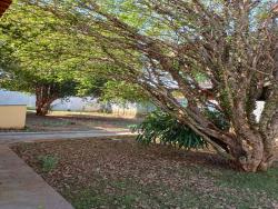 #347 - Casa para Venda em Brotas - SP - 2